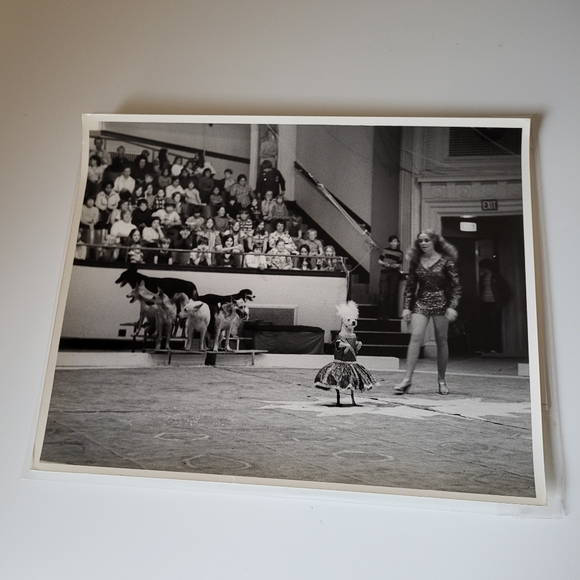 Vintage Black and White Photograph Clyde Beatty Circus 1973 Canine Circus Act - Picture 1 of 16